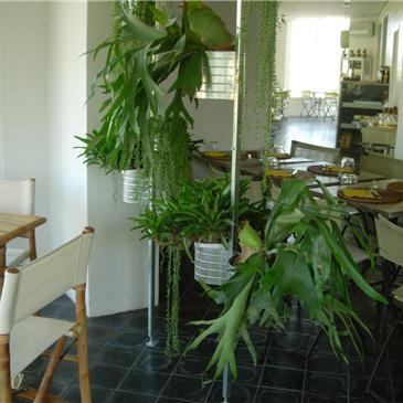 vista dell\'interno